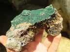 Natural Botryoidal Malachite Specimens x 3 From Congo - Toprock Gemstones and Minerals 