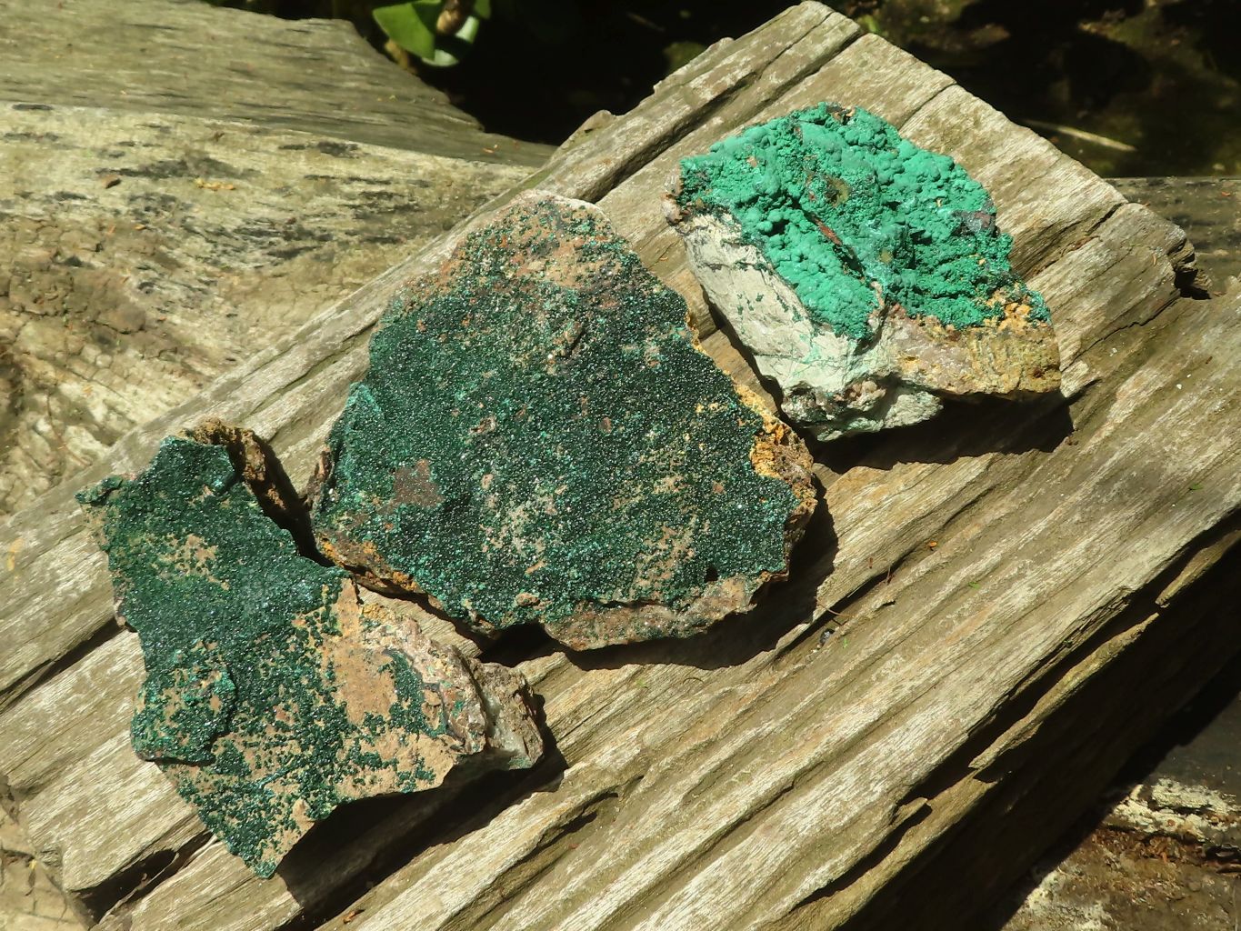 Natural Botryoidal Malachite Specimens x 3 From Congo - Toprock Gemstones and Minerals 