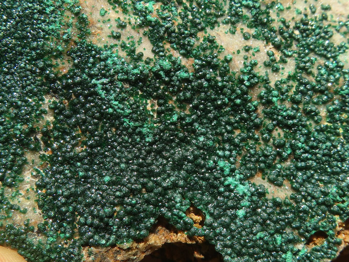 Natural Botryoidal Malachite Specimens x 3 From Congo - Toprock Gemstones and Minerals 