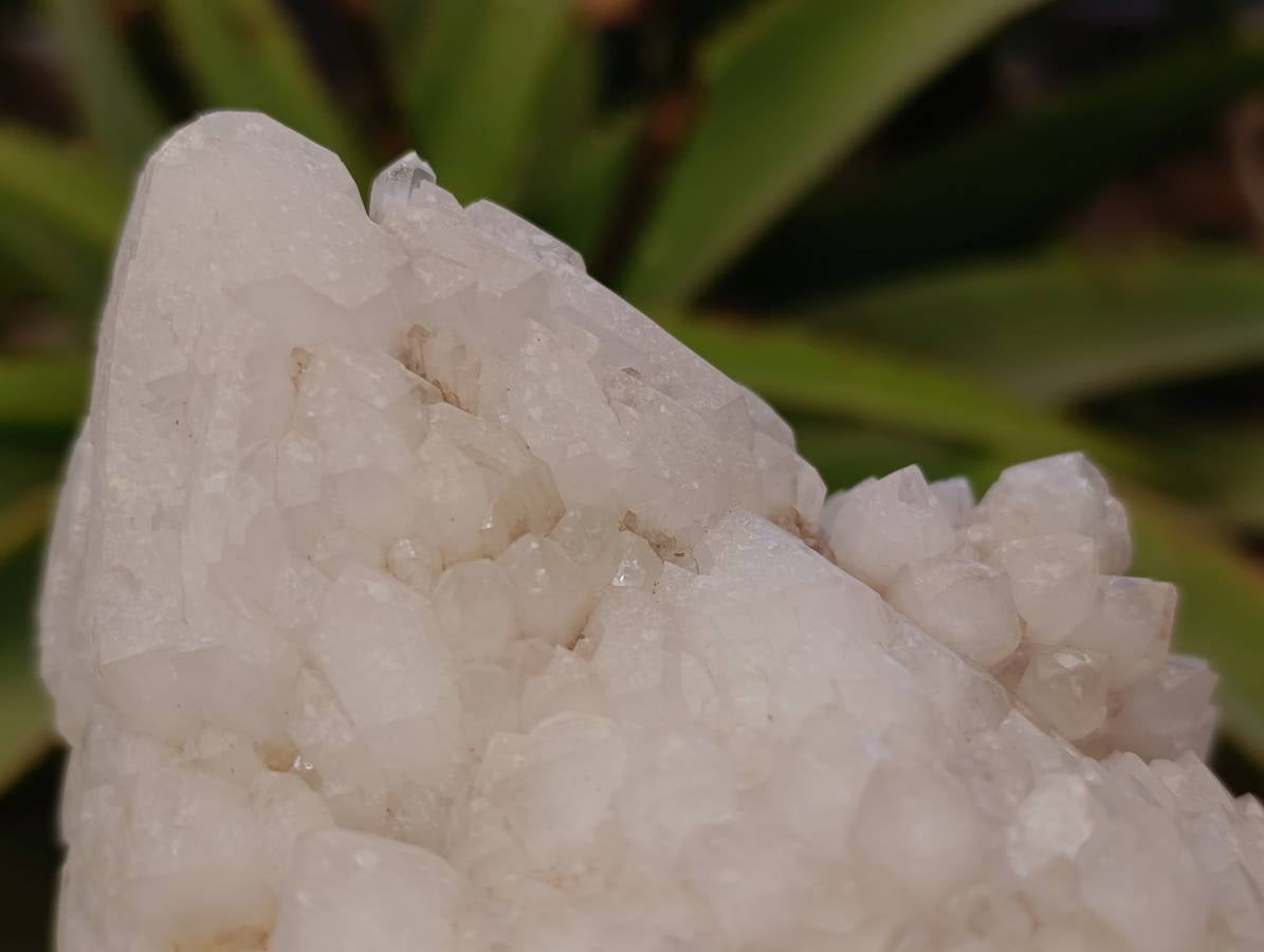 Natural Candle Quartz Clusters x 2 From Madagascar - Toprock Gemstones and Minerals 