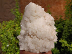 Natural Candle Quartz Clusters x 2 From Madagascar - Toprock Gemstones and Minerals 
