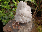 Natural Candle Quartz Clusters x 2 From Madagascar - Toprock Gemstones and Minerals 