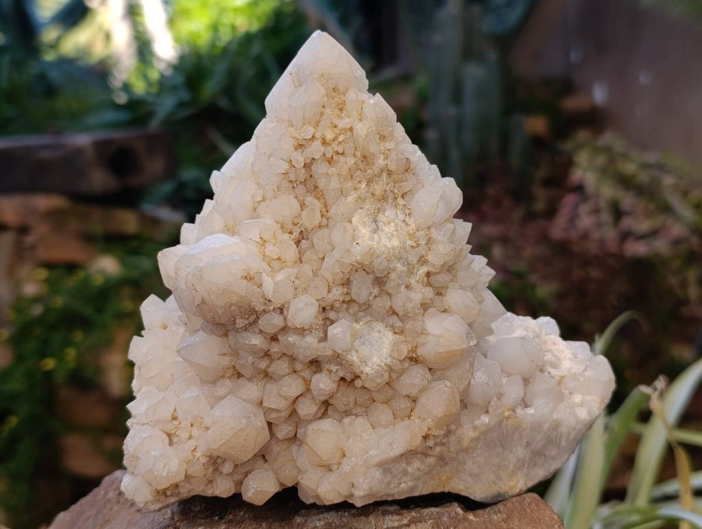 Natural Candle Quartz Clusters x 2 From Madagascar - Toprock Gemstones and Minerals 