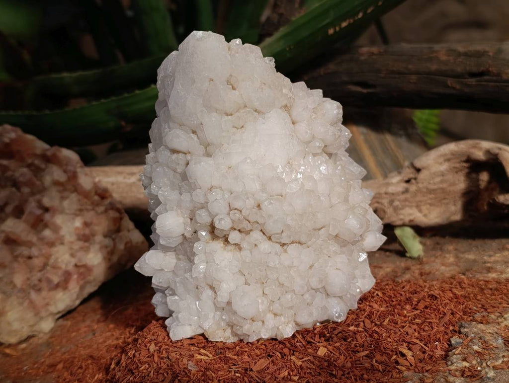 Natural Candle Quartz Clusters x 2 From Madagascar - Toprock Gemstones and Minerals 