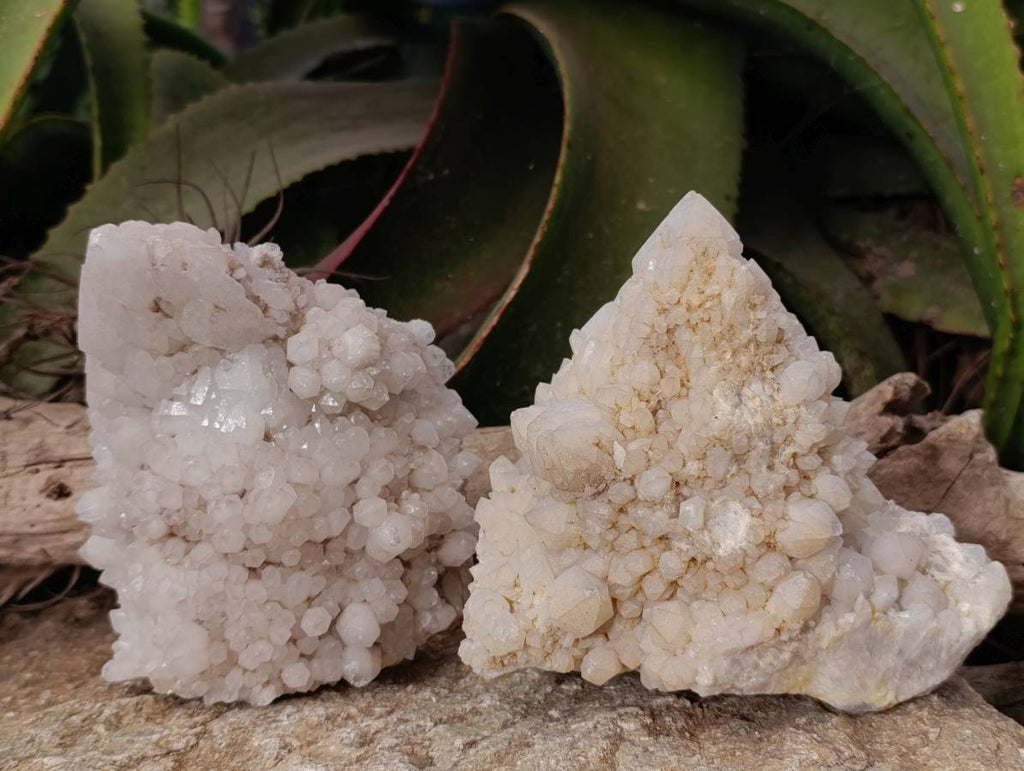 Natural Candle Quartz Clusters x 2 From Madagascar - Toprock Gemstones and Minerals 