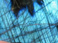 Polished On One Side Labradorite x 6 From Madagascar - Toprock Gemstones and Minerals 