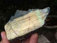 Polished On One Side Labradorite x 6 From Madagascar - Toprock Gemstones and Minerals 