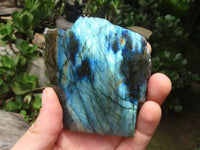 Polished On One Side Labradorite x 6 From Madagascar - Toprock Gemstones and Minerals 