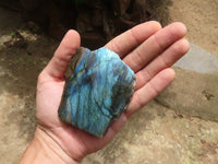 Polished On One Side Labradorite x 6 From Madagascar - Toprock Gemstones and Minerals 