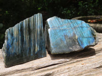 Polished On One Side Labradorite x 6 From Madagascar - Toprock Gemstones and Minerals 