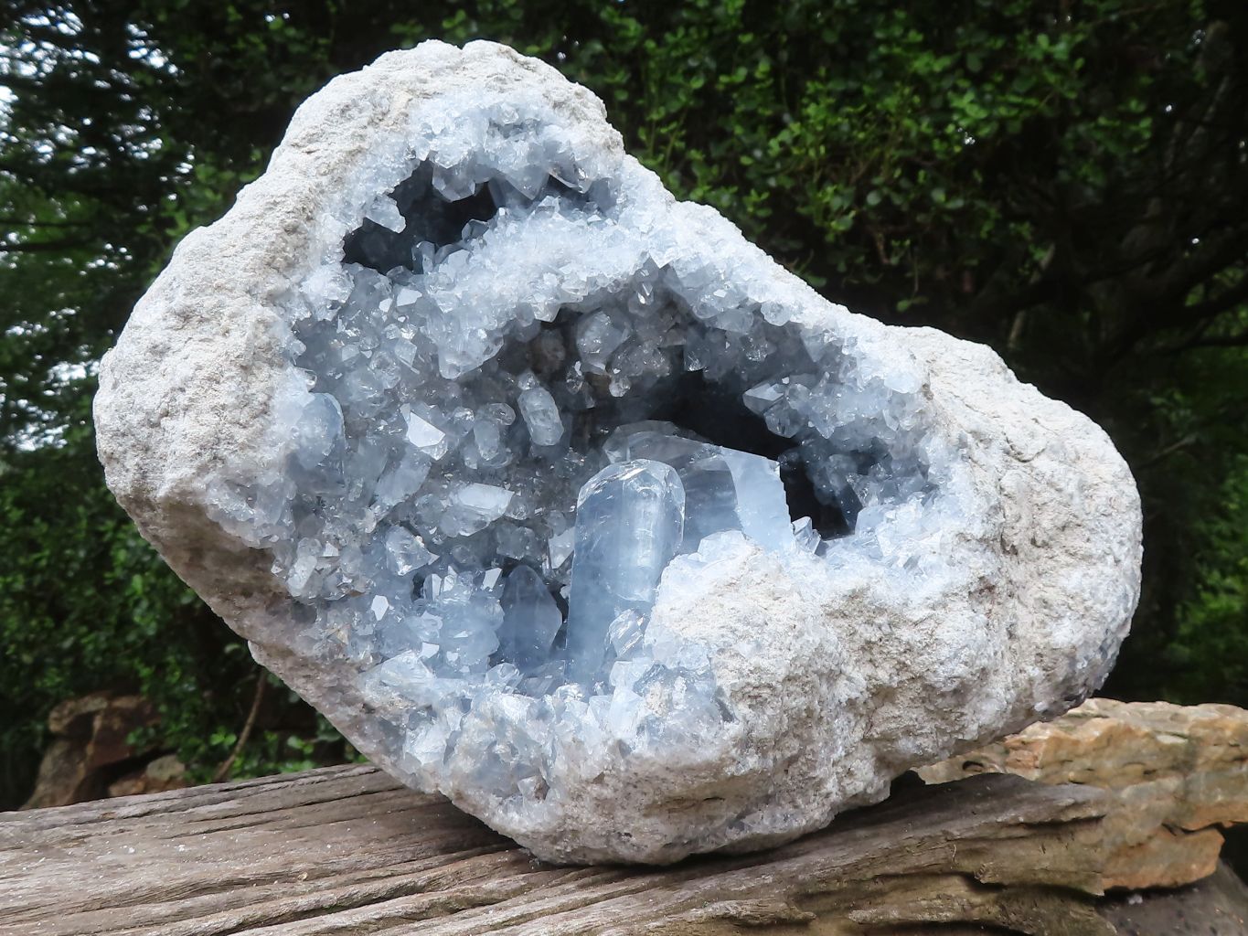 Natural Celestite Geode Specimen x 1 From Sakoany, Madagascar - Toprock Gemstones and Minerals 