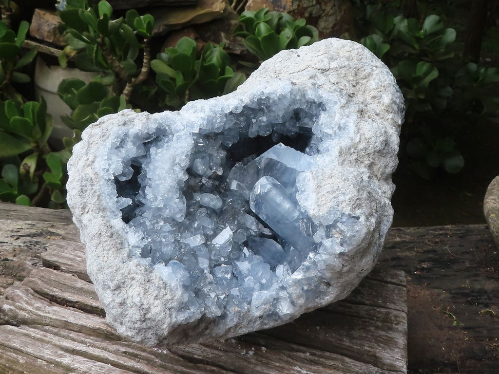 Natural Celestite Geode Specimen x 1 From Sakoany, Madagascar - Toprock Gemstones and Minerals 