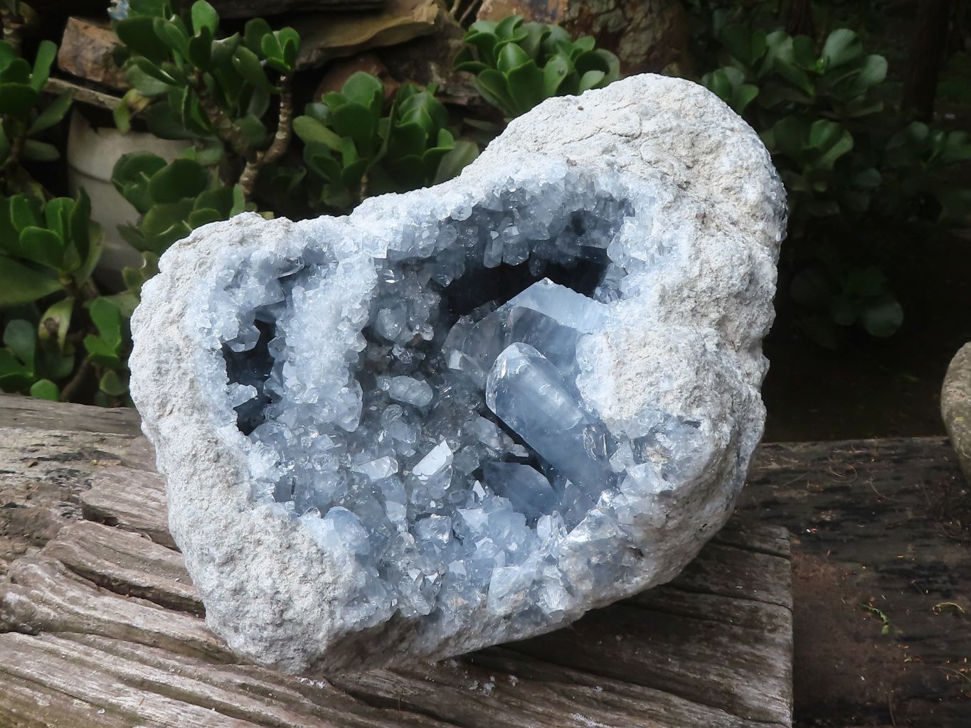 Natural Celestite Geode Specimen x 1 From Sakoany, Madagascar - Toprock Gemstones and Minerals 