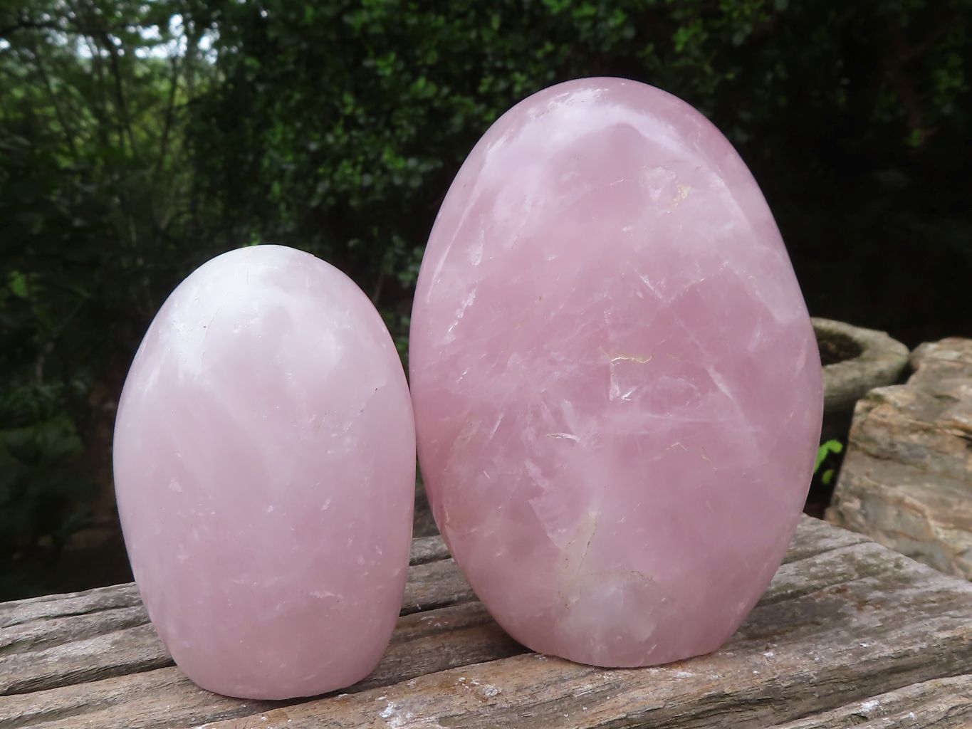 Polished Rose Quartz Standing Free Forms x 3 From Madagascar - Toprock Gemstones and Minerals 