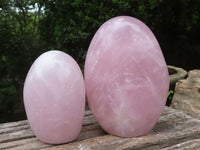 Polished Rose Quartz Standing Free Forms x 3 From Madagascar - Toprock Gemstones and Minerals 