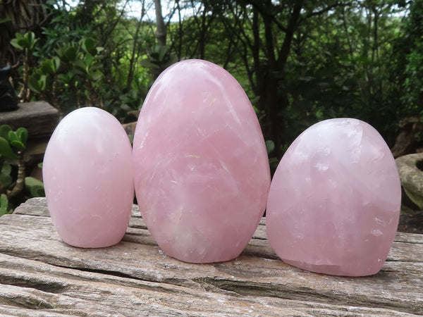 Polished Rose Quartz Standing Free Forms x 3 From Madagascar - Toprock Gemstones and Minerals 