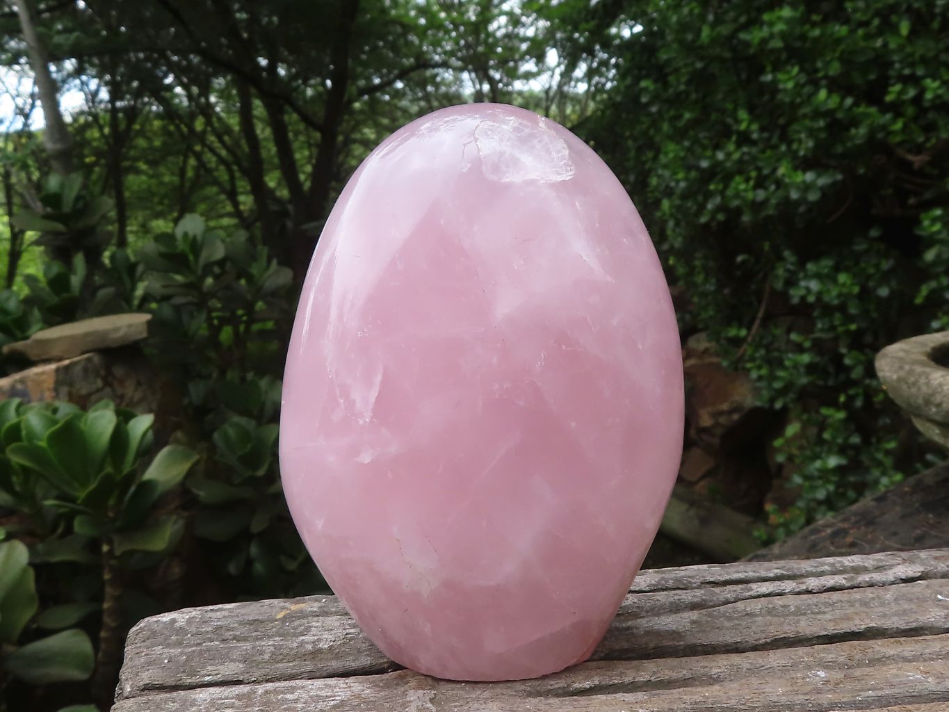 Polished Rose Quartz Standing Free Forms x 3 From Madagascar - Toprock Gemstones and Minerals 