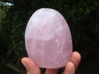 Polished Rose Quartz Standing Free Forms x 3 From Madagascar - Toprock Gemstones and Minerals 