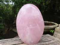 Polished Rose Quartz Standing Free Forms x 3 From Madagascar - Toprock Gemstones and Minerals 