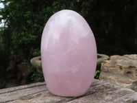 Polished Rose Quartz Standing Free Forms x 3 From Madagascar - Toprock Gemstones and Minerals 