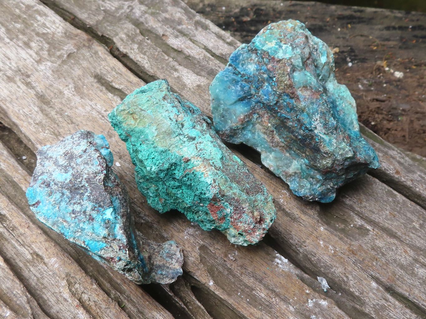 Natural Shattuckite with Chrysocolla & Malachite x 9 from Kaokoveld, Namibia - Toprock Gemstones and Minerals 
