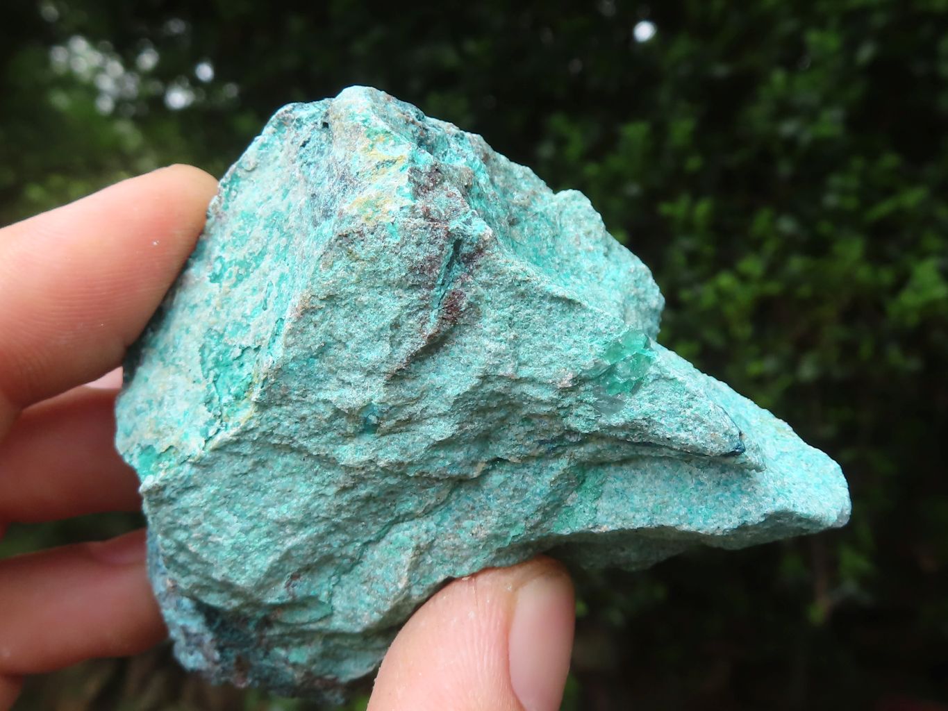 Natural Shattuckite with Chrysocolla & Malachite x 9 from Kaokoveld, Namibia - Toprock Gemstones and Minerals 