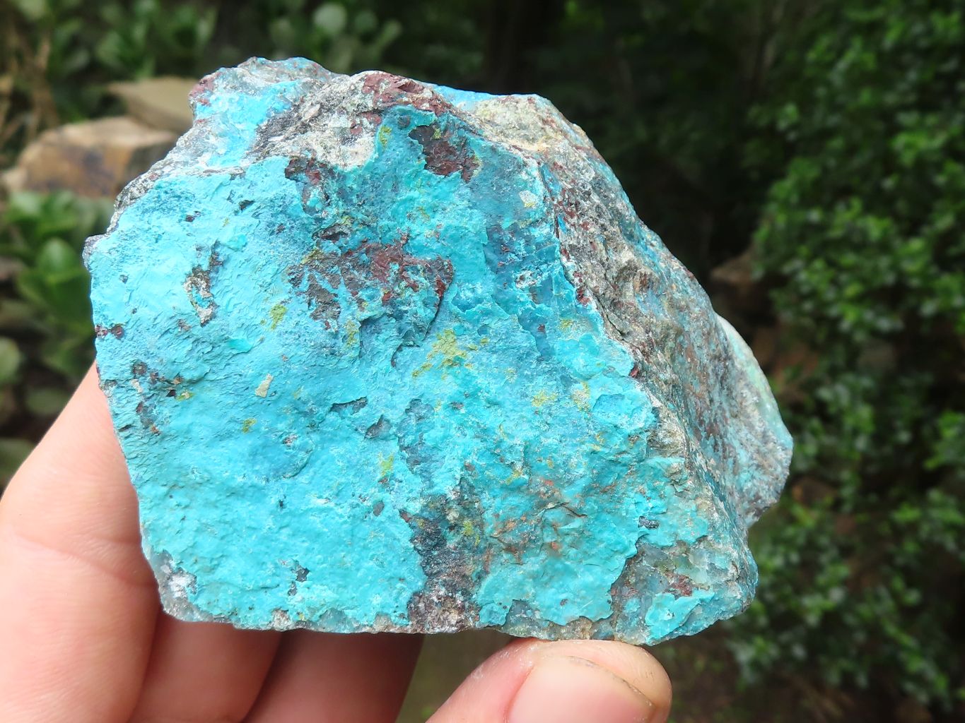 Natural Shattuckite with Chrysocolla & Malachite x 9 from Kaokoveld, Namibia - Toprock Gemstones and Minerals 