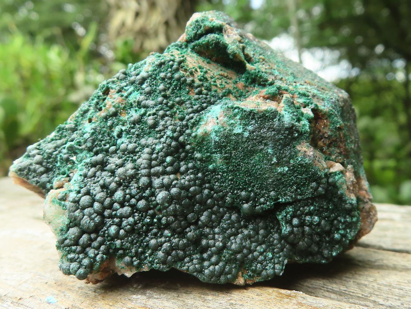 Natural Botryoidal Malachite Specimens x 12 From Congo - Toprock Gemstones and Minerals 