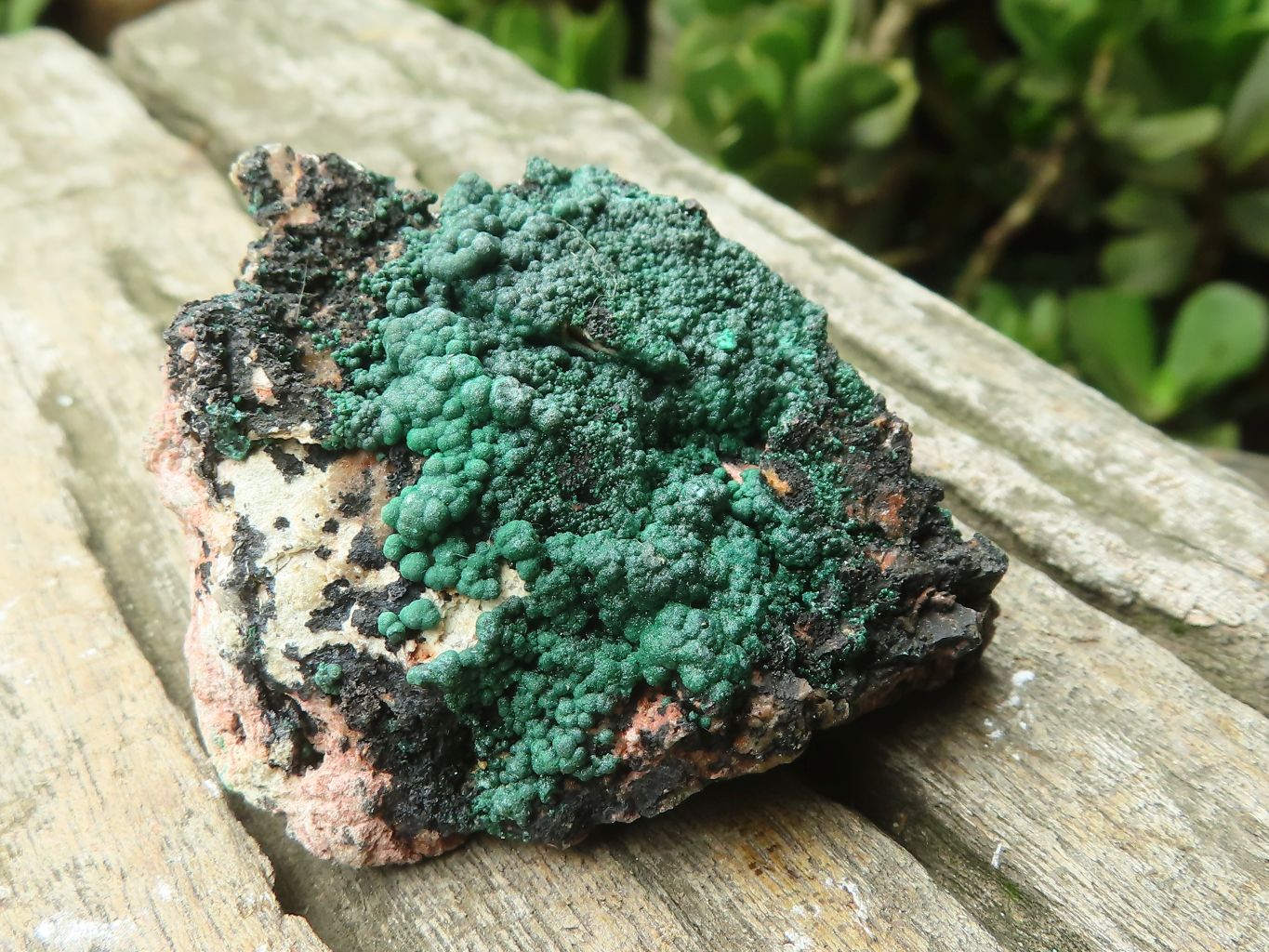 Natural Botryoidal Malachite Specimens x 12 From Congo - Toprock Gemstones and Minerals 