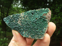 Natural Botryoidal Malachite Specimens x 12 From Congo - Toprock Gemstones and Minerals 