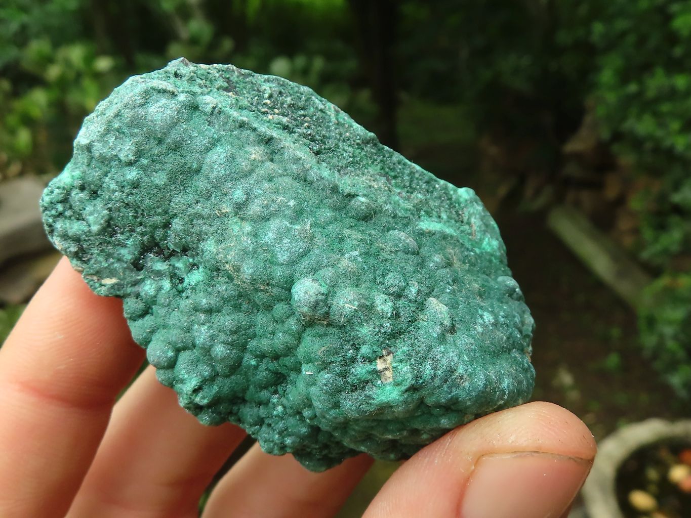 Natural Botryoidal Malachite Specimens x 12 From Congo - Toprock Gemstones and Minerals 