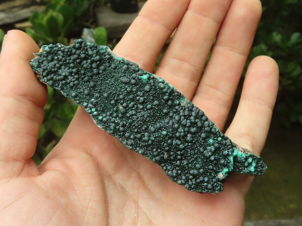 Natural Botryoidal Malachite Specimens x 12 From Congo - Toprock Gemstones and Minerals 