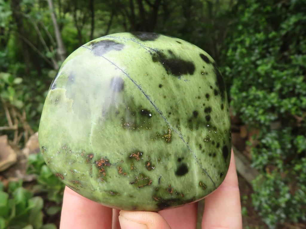 Polished Leopard Stone Free Forms x 6 From Zimbabwe - Toprock Gemstones and Minerals 