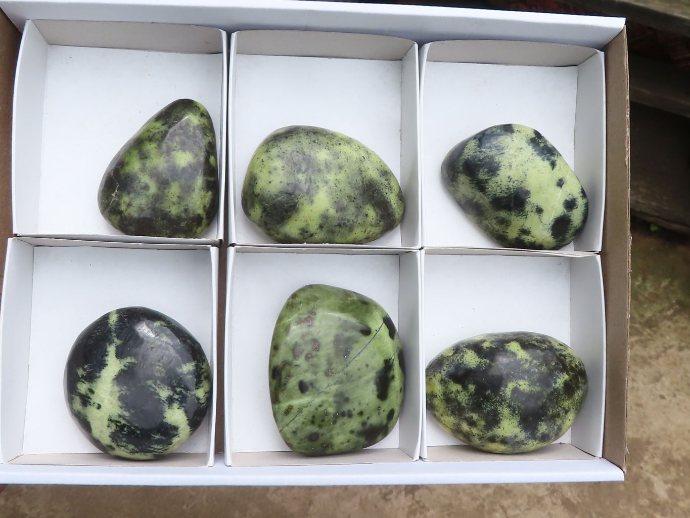 Polished Leopard Stone Free Forms x 6 From Zimbabwe - Toprock Gemstones and Minerals 