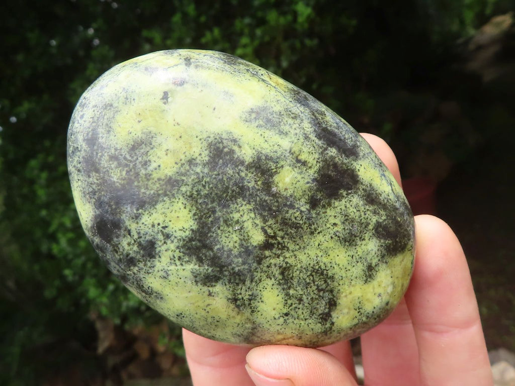 Polished Leopard Stone Free Forms x 6 From Zimbabwe - Toprock Gemstones and Minerals 