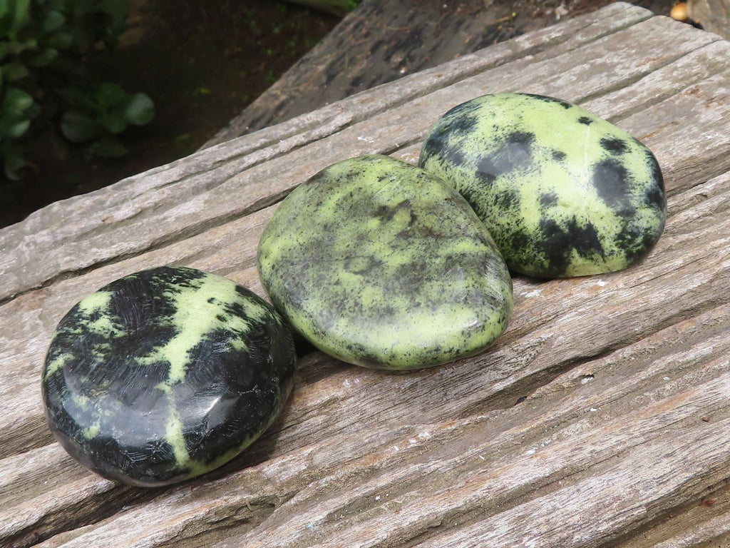 Polished Leopard Stone Free Forms x 6 From Zimbabwe - Toprock Gemstones and Minerals 