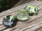 Polished Leopard Stone Free Forms x 6 From Zimbabwe - Toprock Gemstones and Minerals 