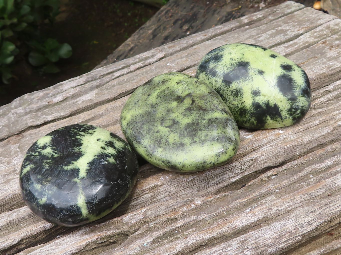 Polished Leopard Stone Free Forms x 6 From Zimbabwe - Toprock Gemstones and Minerals 