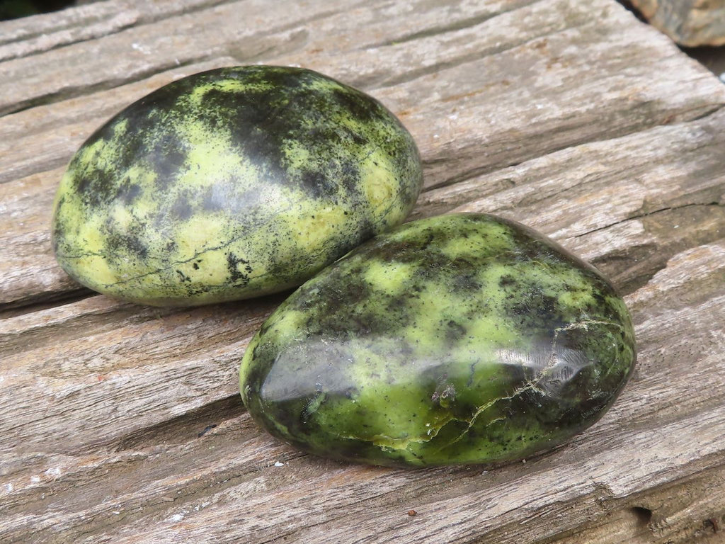 Polished Leopard Stone Free Forms x 6 From Zimbabwe - Toprock Gemstones and Minerals 