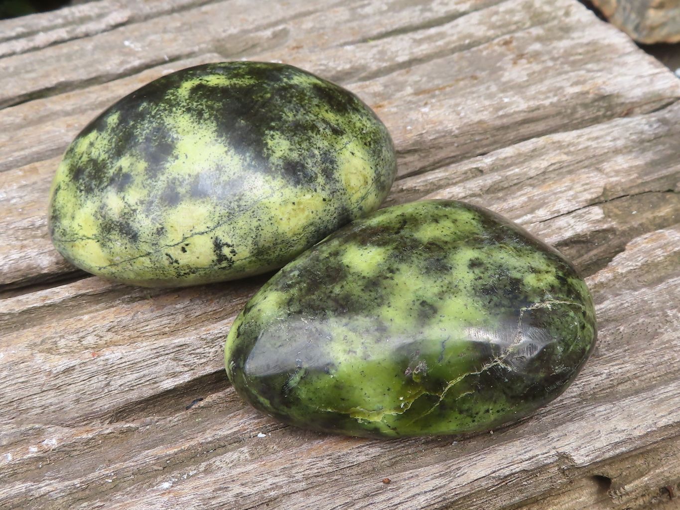 Polished Leopard Stone Free Forms x 6 From Zimbabwe - Toprock Gemstones and Minerals 