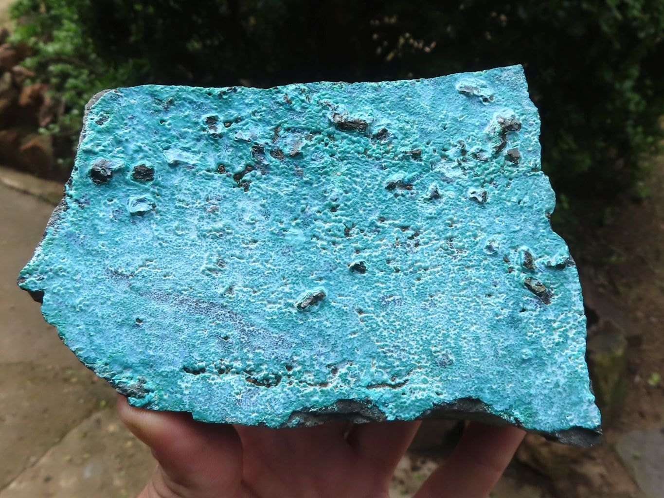 Natural Silica Chrysocolla Specimens x 2 From Kulukuluku, Congo - Toprock Gemstones and Minerals 