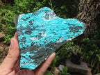 Natural Silica Chrysocolla Specimens x 2 From Kulukuluku, Congo - Toprock Gemstones and Minerals 