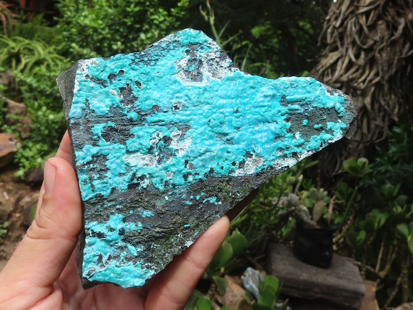 Natural Silica Chrysocolla Specimens x 2 From Kulukuluku, Congo - Toprock Gemstones and Minerals 