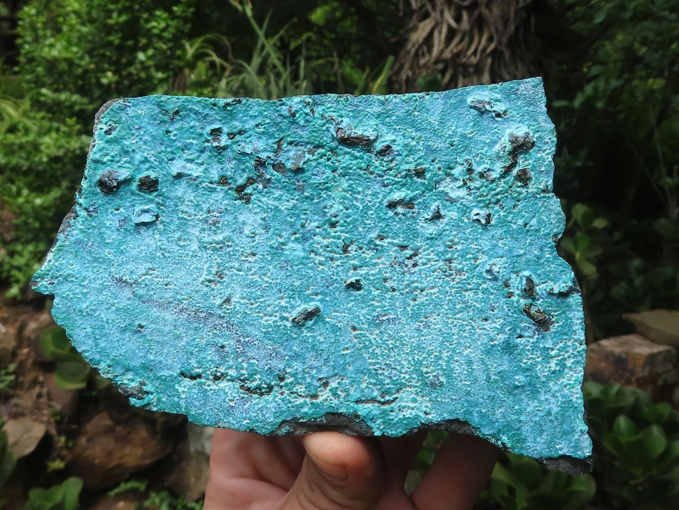 Natural Silica Chrysocolla Specimens x 2 From Kulukuluku, Congo - Toprock Gemstones and Minerals 