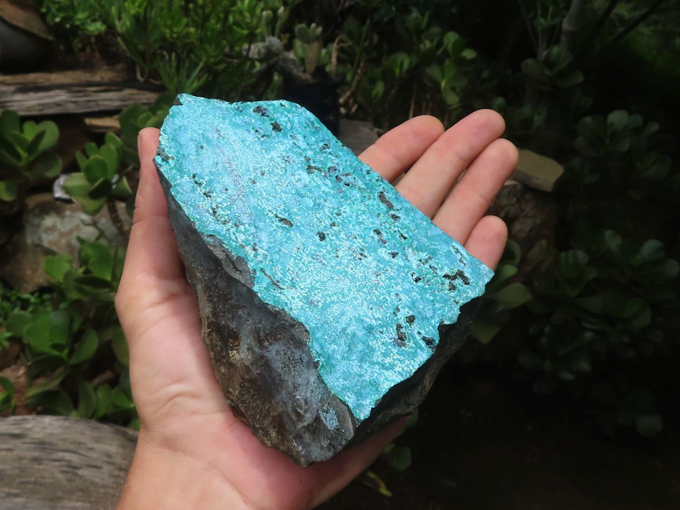 Natural Silica Chrysocolla Specimens x 2 From Kulukuluku, Congo - Toprock Gemstones and Minerals 