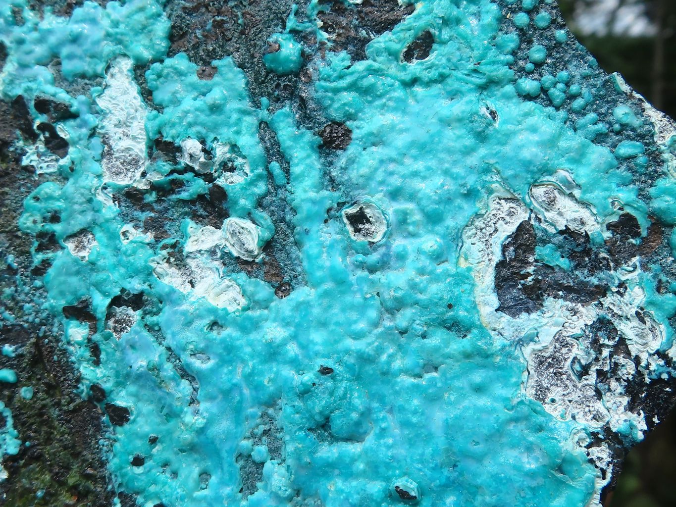 Natural Silica Chrysocolla Specimens x 2 From Kulukuluku, Congo - Toprock Gemstones and Minerals 