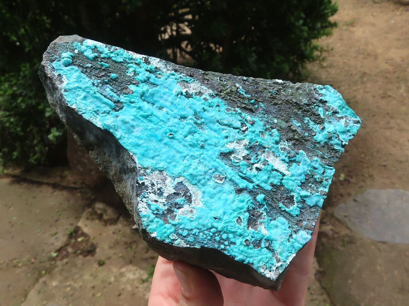 Natural Silica Chrysocolla Specimens x 2 From Kulukuluku, Congo - Toprock Gemstones and Minerals 