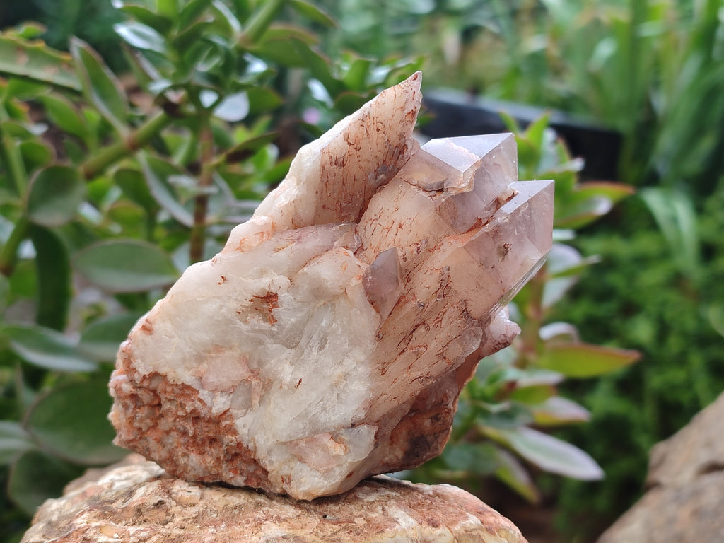 Natural Red Hematoid Quartz Clusters x 6 From Karoi, Zimbabwe - Toprock Gemstones and Minerals 