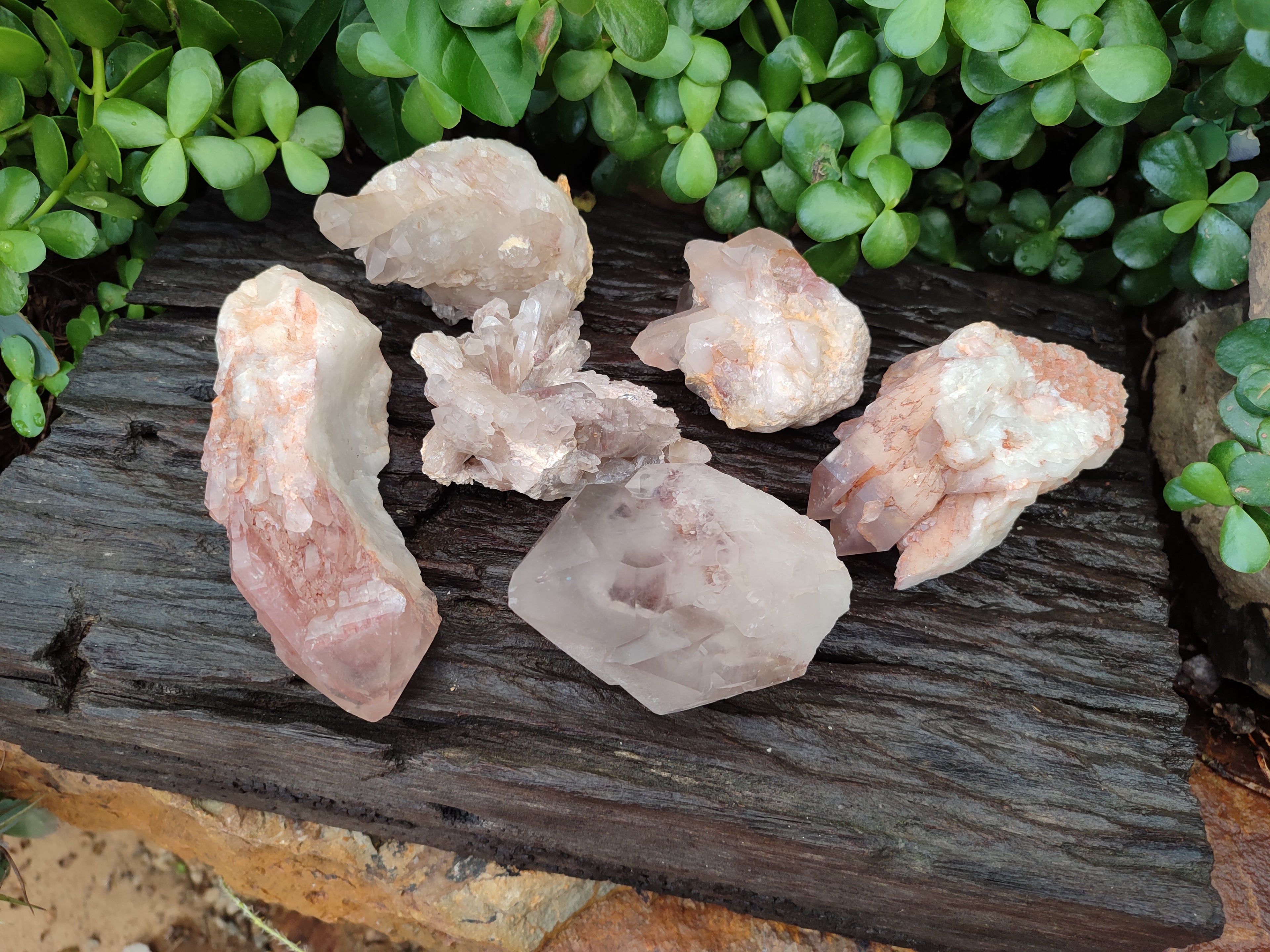 Natural Red Hematoid Quartz Clusters x 6 From Karoi, Zimbabwe - Toprock Gemstones and Minerals 