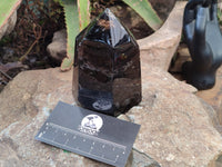 Polished Smokey Quartz Crystals x 2 From Madagascar - Toprock Gemstones and Minerals 